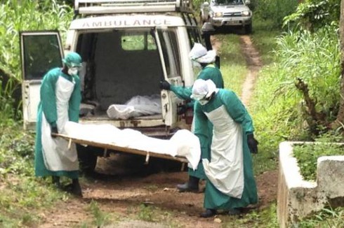 Bộ Y tế đưa ra kế hoạch đối phó đại dịch Ebola nếu vào Việt Nam - ảnh 1