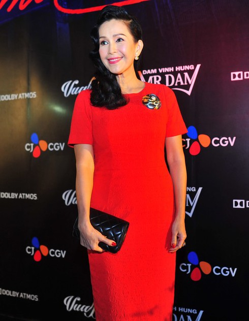 Hiệp sĩ mù: Sao Việt chung vui cùng Đàm Vĩnh Hưng - ảnh 2