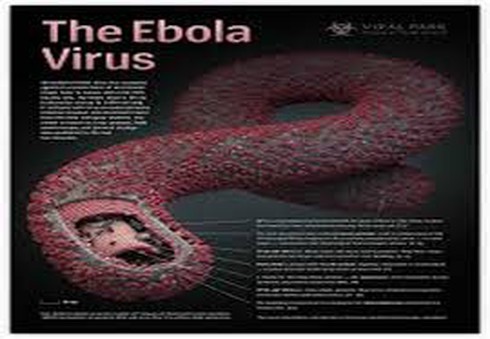 Ebola có thể lây lan trong không khí? - ảnh 1
