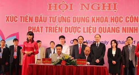 70% dược liệu phải nhập ngoại: Bộ Y tế lên chiến lược phát triển - ảnh 1