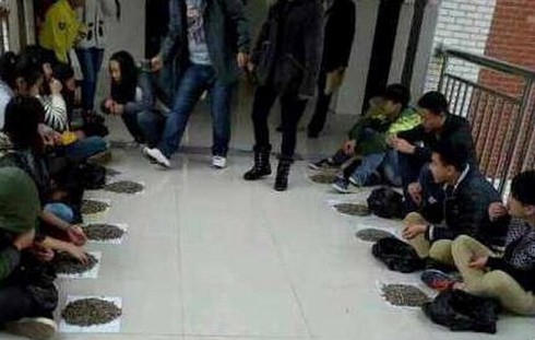 Sinh viên ăn vặt bị phạt cắn 50 kg hạt hướng dương - ảnh 1