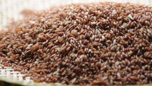 6 chất gây ung thư ở ngay trong nhà mà bạn không ngờ tới - ảnh 1