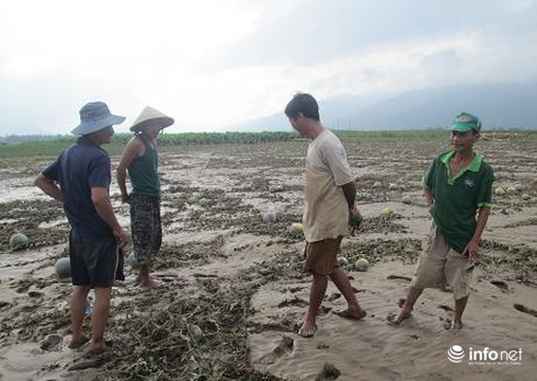 Bạn trẻ Quảng Nam giúp dân vùng lũ bán dưa hấu - ảnh 6