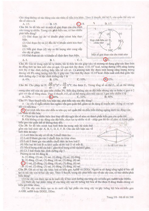 Đáp án môn Sinh học kỳ thi THPT quốc gia 2015 (tham khảo) - ảnh 7