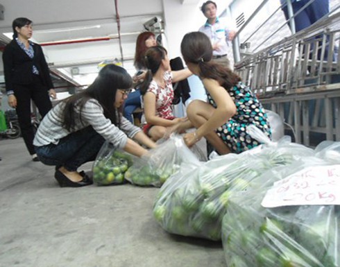 Doanh nghiệp gom hơn 4 tấn chanh ế phát không cho dân - ảnh 1