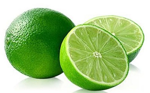 Các loại cây chữa bệnh dễ trồng tại nhà - ảnh 5