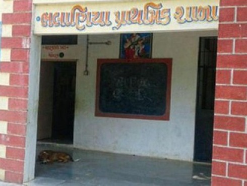 Thầy giáo rao bán nội tạng lấy tiền sửa trường học - ảnh 1