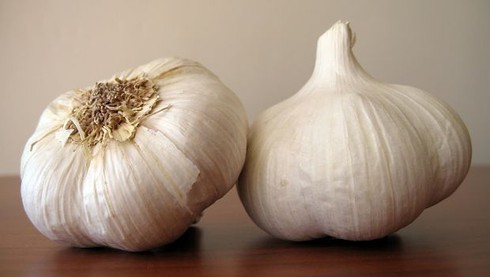 7 mẹo trị nhọt cực hiệu quả và dễ làm - ảnh 4