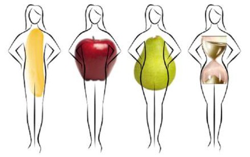 Nguy cơ bệnh tật qua từng loại vóc dáng - ảnh 1