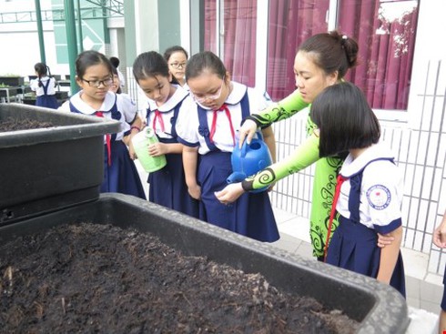 Thêm một trường học làm vườn rau sạch cho học sinh - ảnh 5