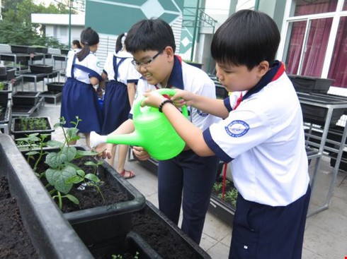 Thêm một trường học làm vườn rau sạch cho học sinh - ảnh 4