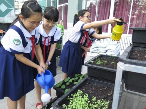 Thêm một trường học làm vườn rau sạch cho học sinh - ảnh 1
