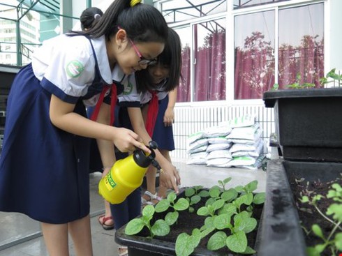 Thêm một trường học làm vườn rau sạch cho học sinh - ảnh 2