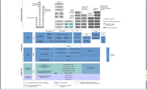 Hệ thống giáo dục Pháp phân luồng thế nào? - ảnh 1
