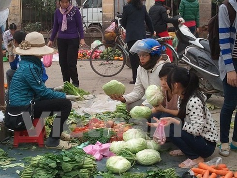 Vụ tuồn rau bẩn vào trường học: Sở GD-ĐT Hà Nội lên tiếng - ảnh 1