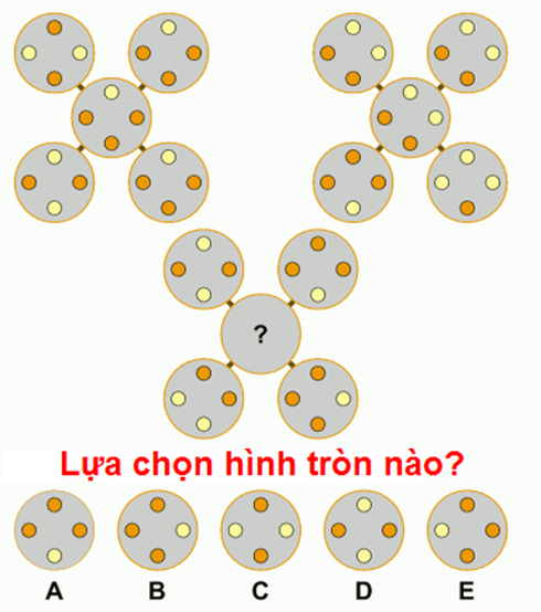 Thử tài của bạn: Hãy tìm ra hình tròn hợp lý - ảnh 1