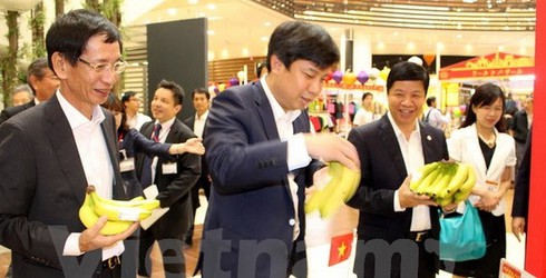 Chuối Việt Nam lần đầu xuất hiện ở siêu thị lớn nhất Nhật Bản - ảnh 1