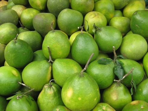 6 loại quả thuần Việt không bao giờ nhập khẩu từ Trung Quốc - ảnh 4