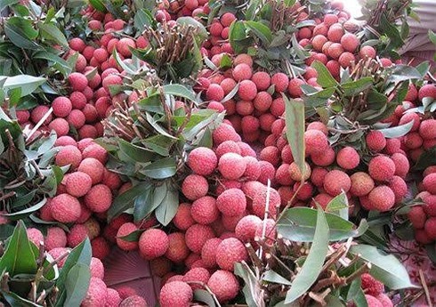 6 loại quả thuần Việt không bao giờ nhập khẩu từ Trung Quốc - ảnh 5