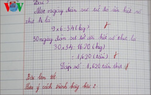 Thông tư 22: Lo lắng đánh giá học sinh Tiểu học theo môn - ảnh 1