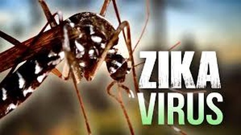 Hai chị em ruột ở Bà Rịa - Vũng Tàu cùng nhiễm virus Zika - ảnh 1