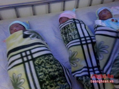 Sản phụ dân tộc Thái sinh 3 bé trai khỏe mạnh ở Nghệ An - ảnh 1