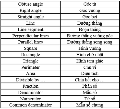 Hướng dẫn một số từ vựng Tiếng Anh về toán học lớp 4 - ảnh 3