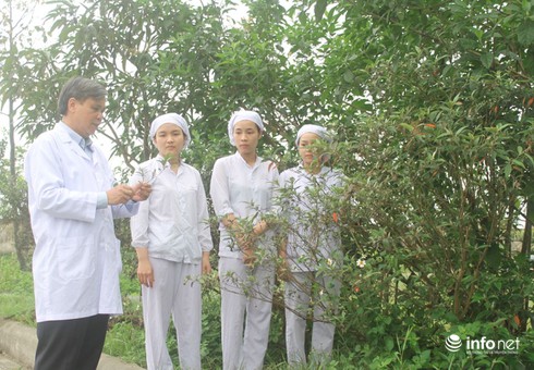 Chuyện về vị giám đốc công ty dược nhận danh hiệu Thầy thuốc nhân dân - ảnh 2