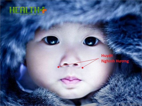 Cách đơn giản trị viêm mũi dị ứng - ảnh 1