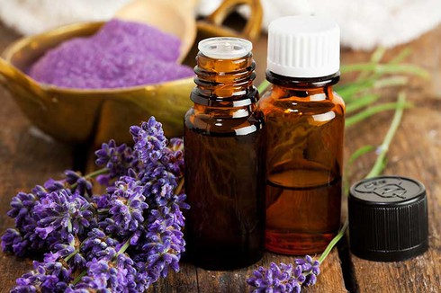7 cách đơn giản để bạn sống vui - ảnh 3