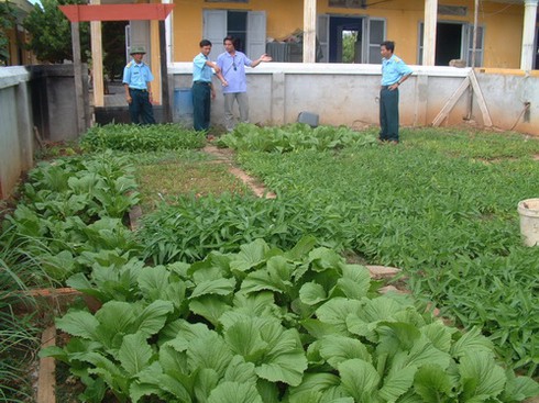 Sức sống nơi đảo xa