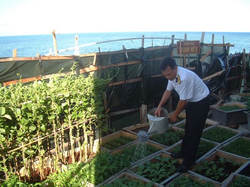 Sức sống nơi đảo xa