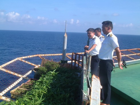 Sức sống nơi đảo xa