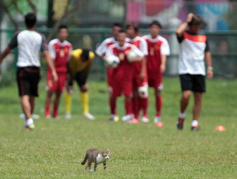 U23 Việt Nam đặt mục tiêu đoạt ngôi đầu bảng của Đông Timor
