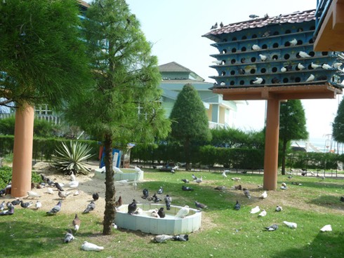 Công viên Biển Đông – Công viên Hoà bình và Tình yêu