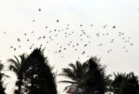 Công viên Biển Đông – Công viên Hoà bình và Tình yêu