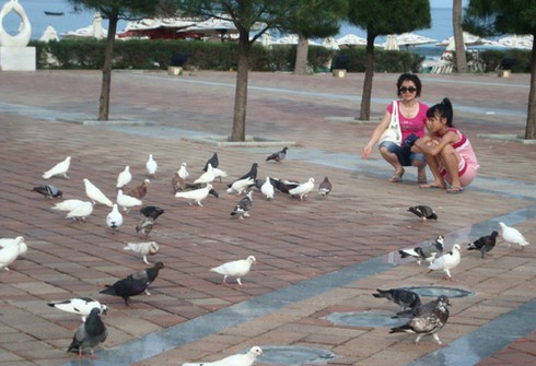 Công viên Biển Đông – Công viên Hoà bình và Tình yêu