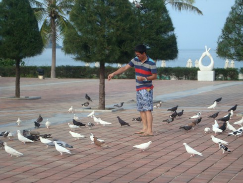 Công viên Biển Đông – Công viên Hoà bình và Tình yêu