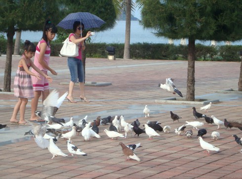 Công viên Biển Đông – Công viên Hoà bình và Tình yêu