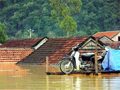 Sáng chế độc đáo chưa từng có của dân vùng ngập lụt