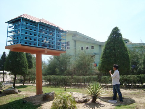 Trộm chim bồ câu, vứt luôn xe Nouvo