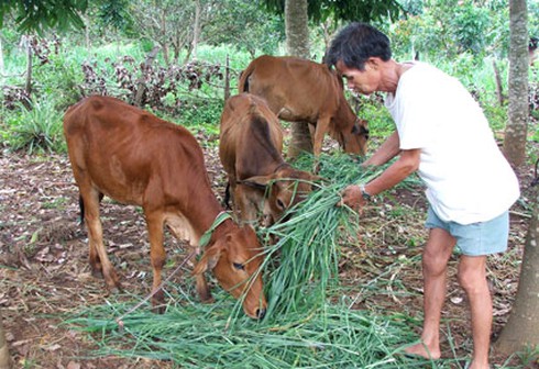 Hơn 1.400 tỷ đồng hỗ trợ huyện nghèo