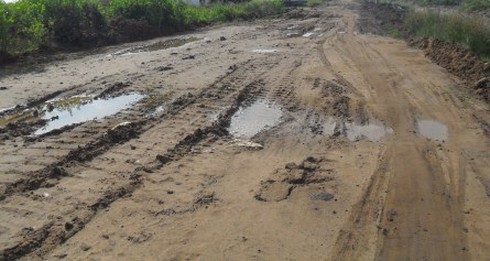 Hoang tàn Vàm Sát - Cần Giờ