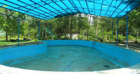 Hoang tàn Vàm Sát - Cần Giờ