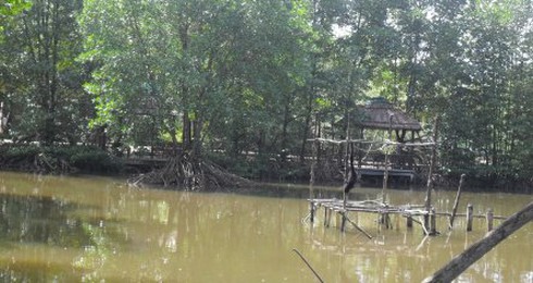 Hoang tàn Vàm Sát - Cần Giờ