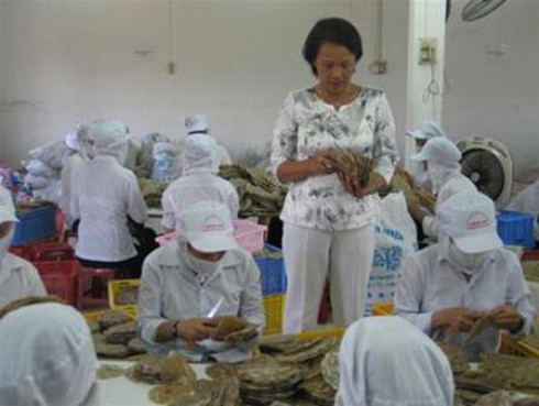 Vụ cá bò bẩn ở Hàn Quốc: Sự thật hay là “bôi nhọ”?