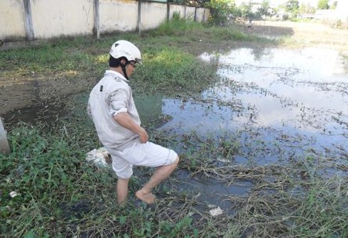 Đỉa tấn công khu dân cư: Chính quyền ra tay