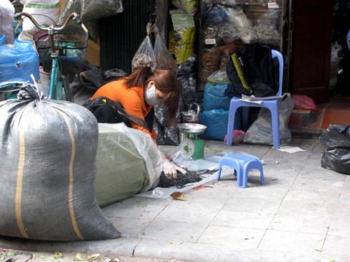 Hãi hùng thuốc đông dược `muốn gì cứ nói`