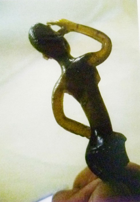 Kỳ bí bức tượng đồng người châu Phi loã thể (Kỳ 2)