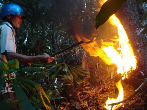 100 năm... cái nghề `đi dầu`